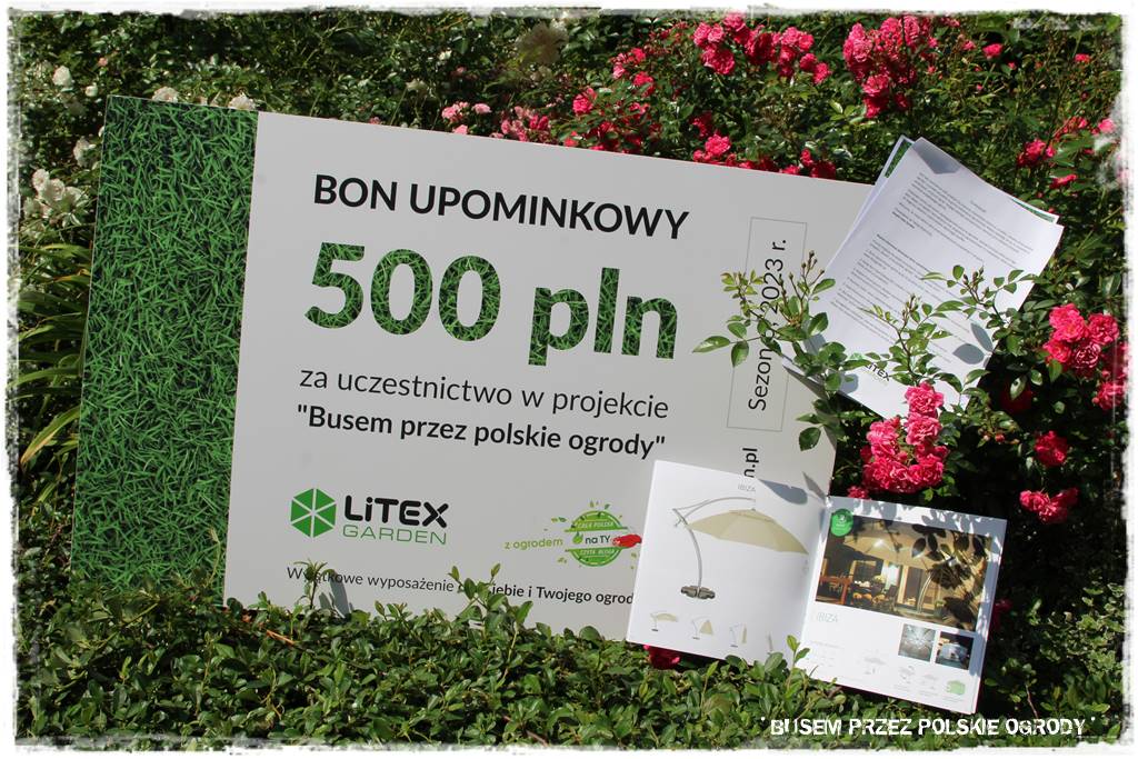 Ogród dla dzieci – ciekawe aranżacje 48