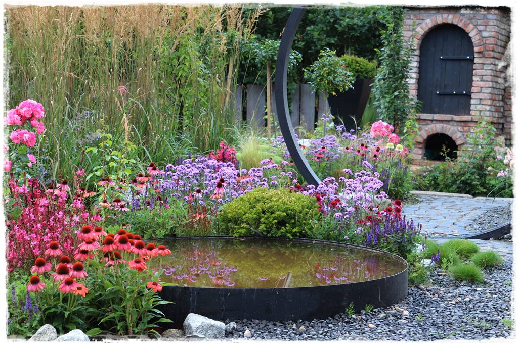 Rabata z jeżówkami 25 Rabata z jeżówkami 25