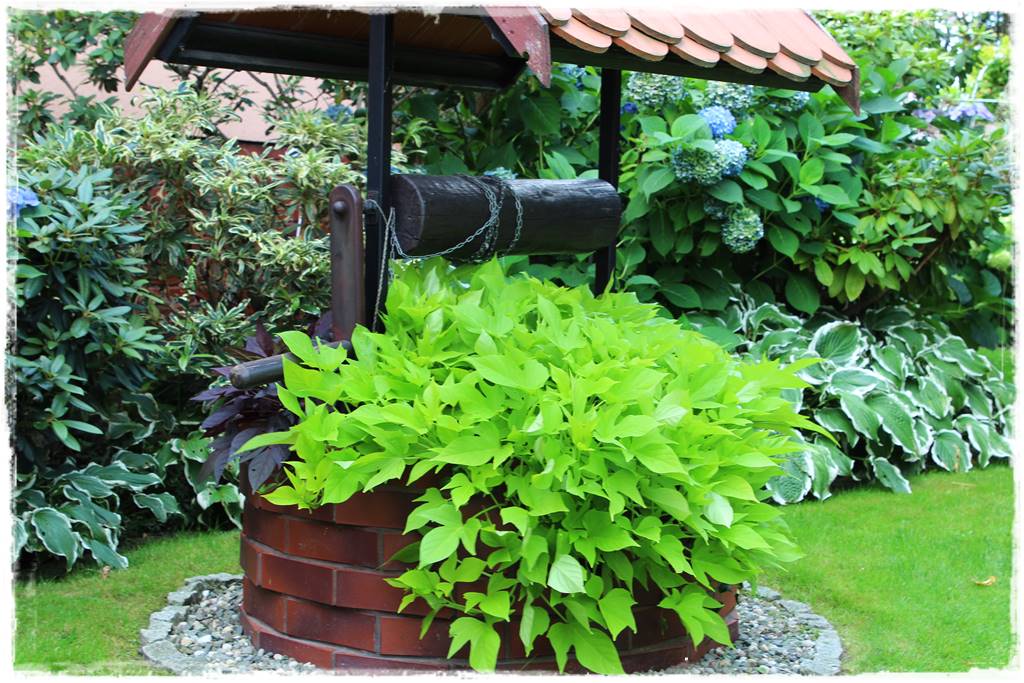 Studnia w ogrodzie aranżacje 2c Studnia w ogrodzie aranżacje 2c