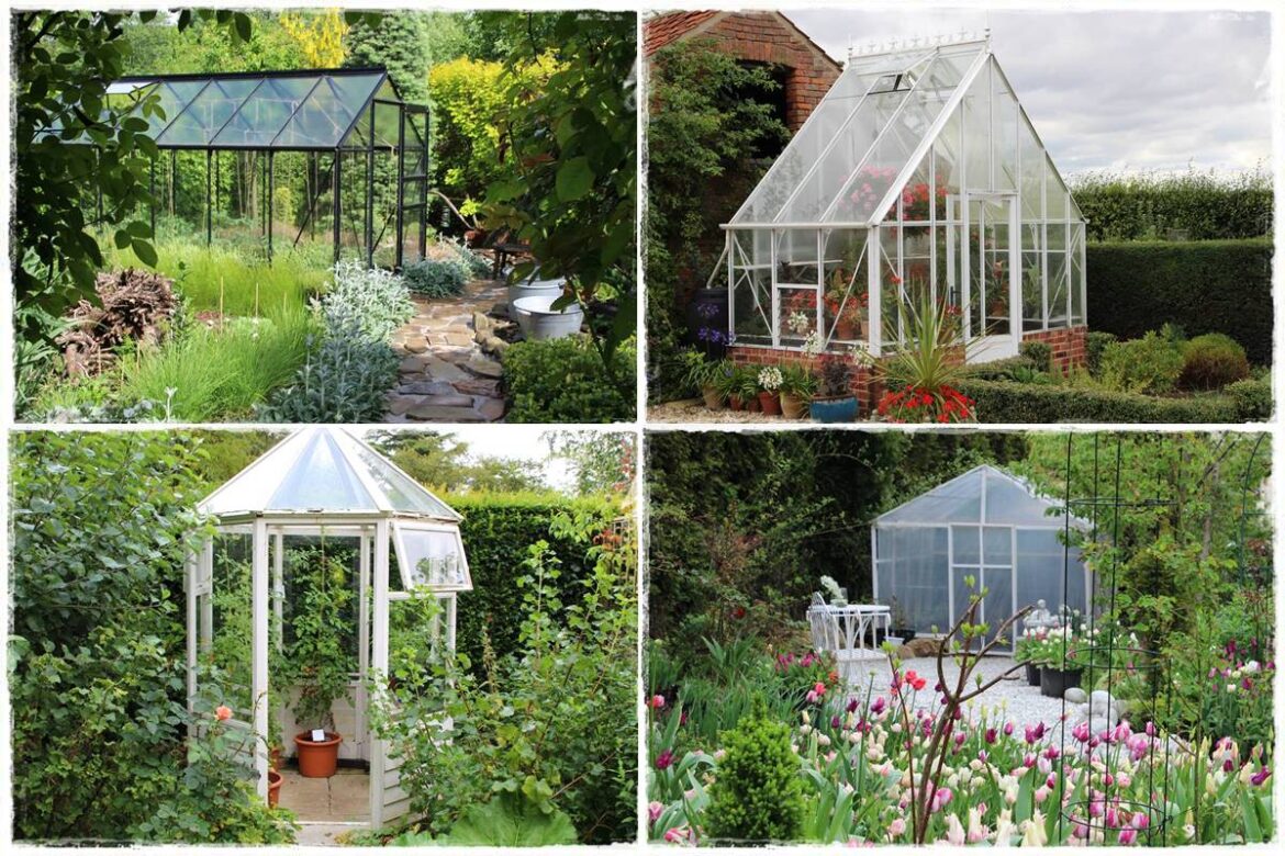 Szklarnia ogrodowa 1
