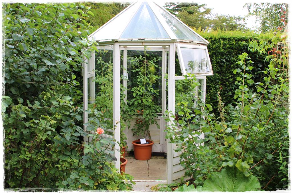 Szklarnia ogrodowa 12