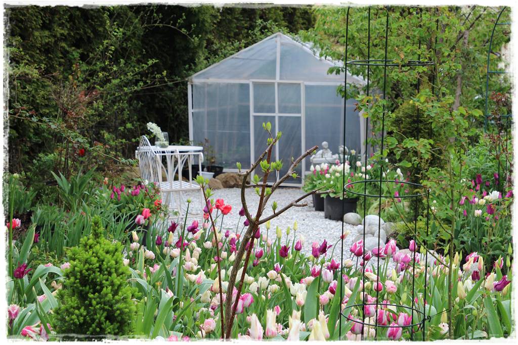 Szklarnia ogrodowa 15