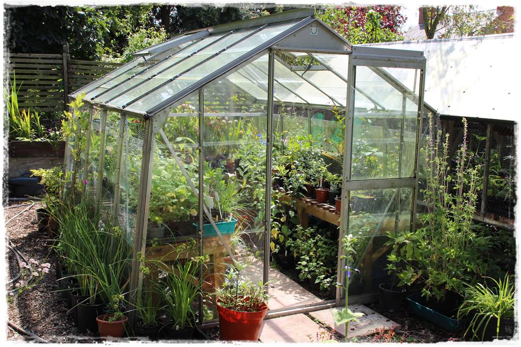 Szklarnia ogrodowa 5