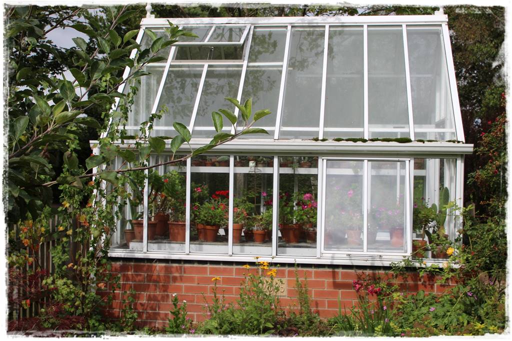 Szklarnia ogrodowa 8
