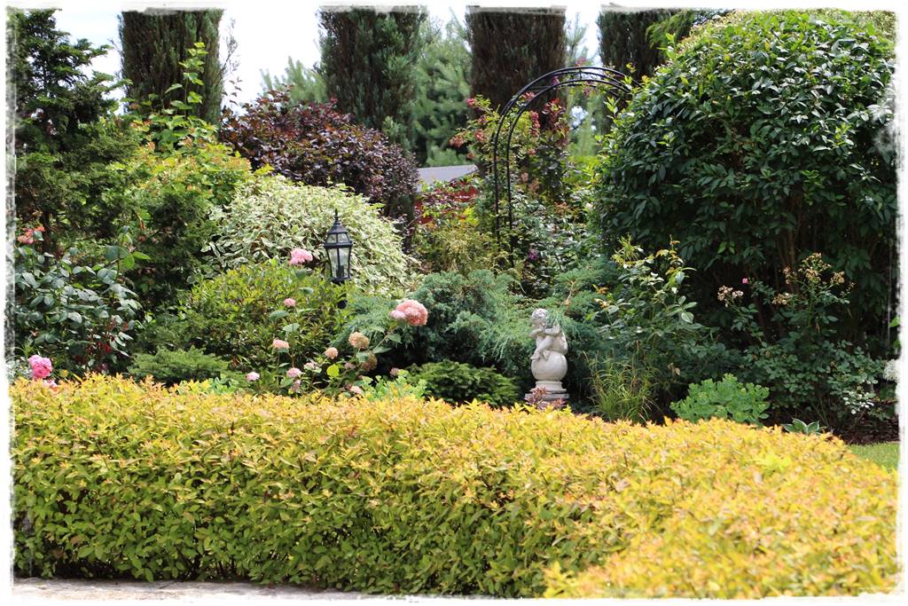 Tawuła japońska cięcie 11