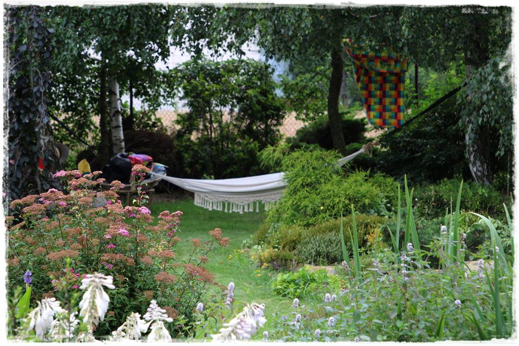 Tawuła japońska cięcie 4