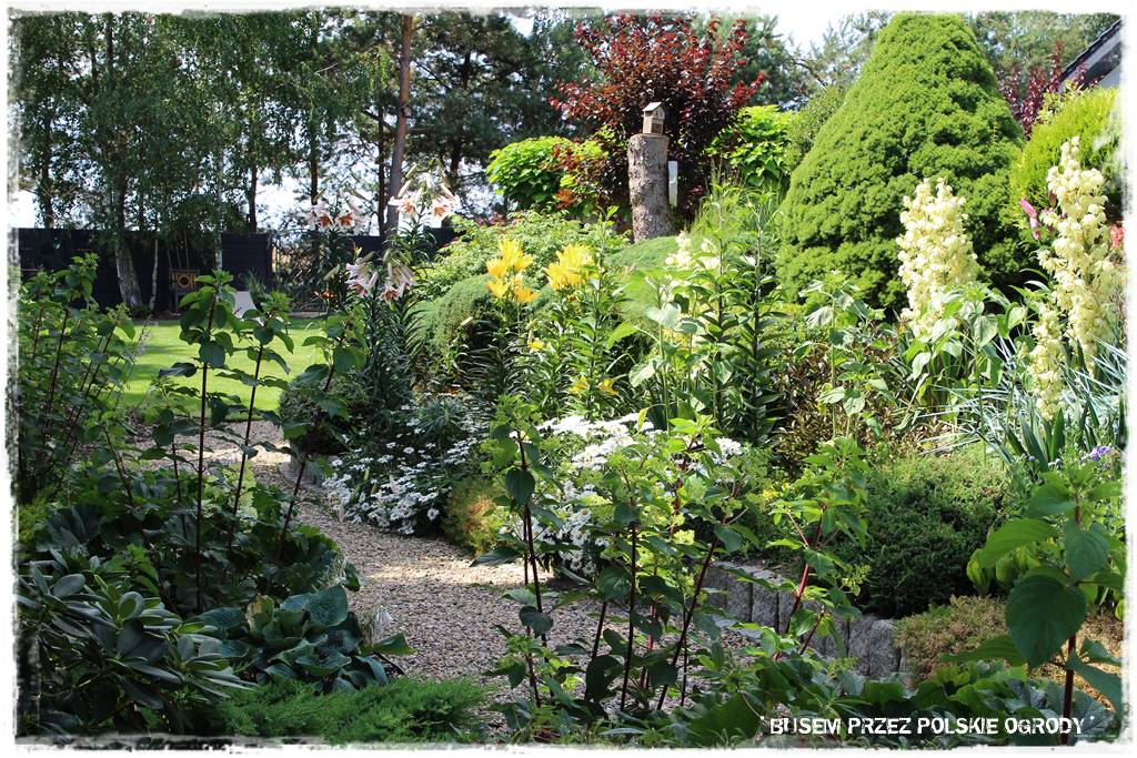 Wysoki taras aranżacje 3 Wysoki taras aranżacje 3