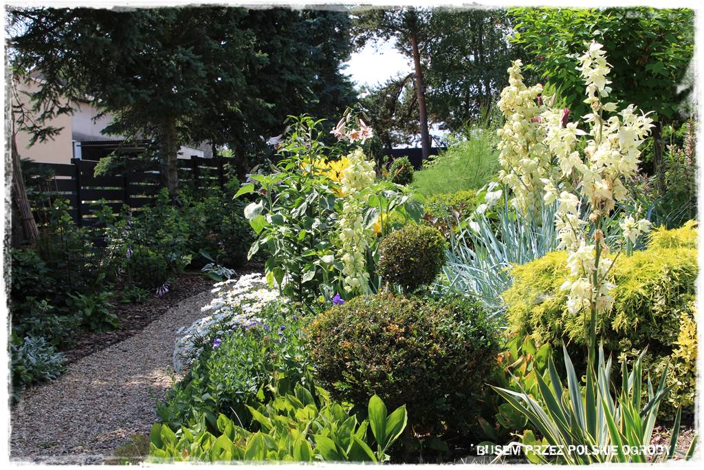 Wysoki taras aranżacje 31 Wysoki taras aranżacje 31