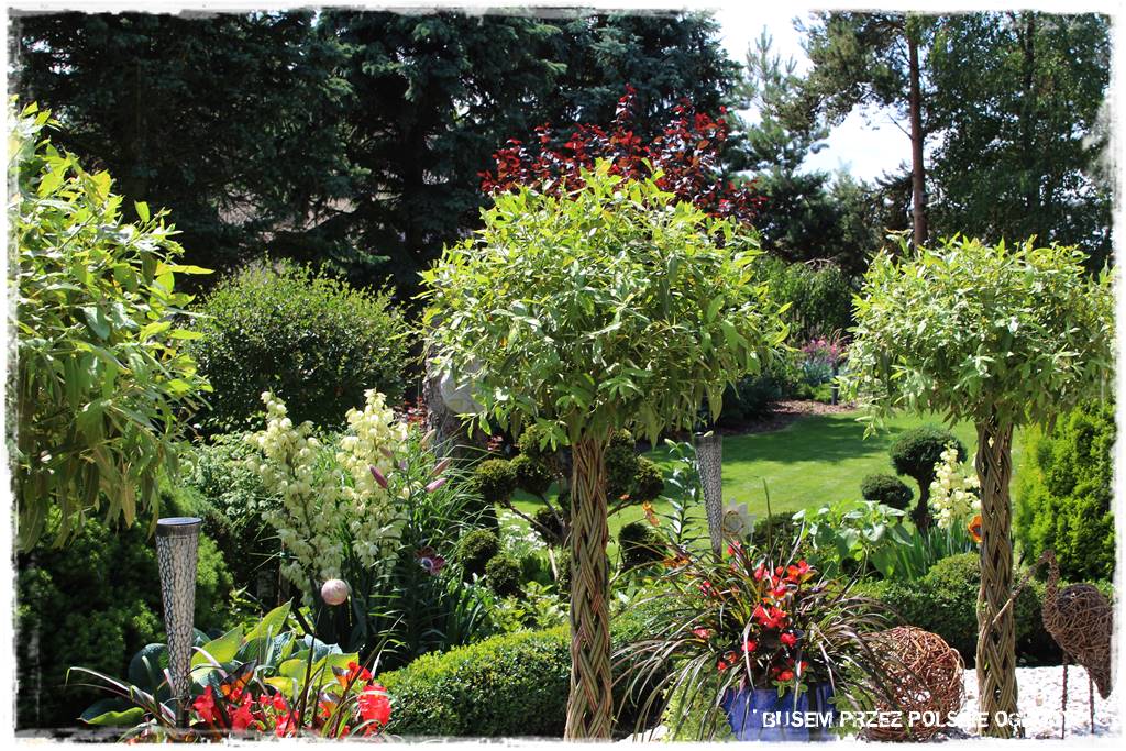 Wysoki taras aranżacje 32 Wysoki taras aranżacje 32