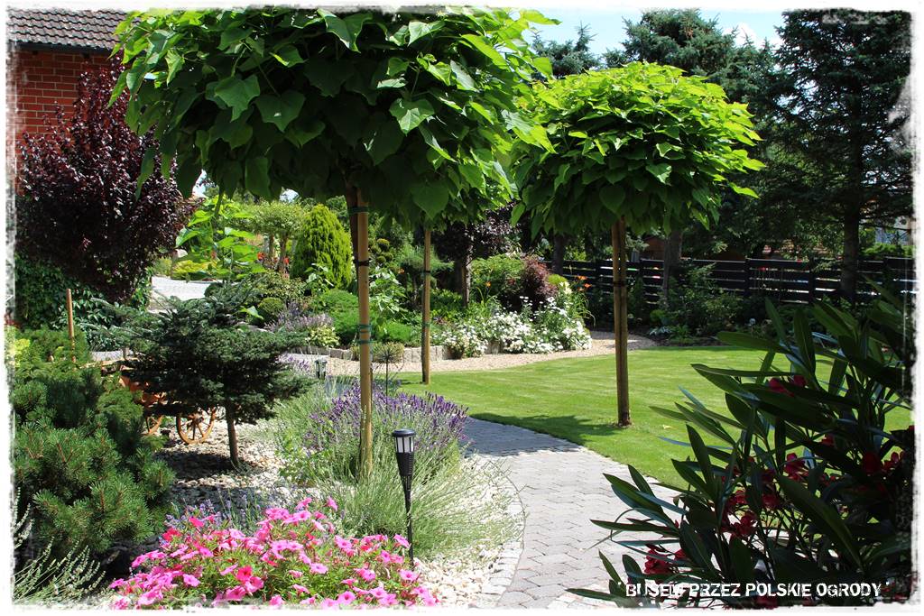 Wysoki taras aranżacje 36 Wysoki taras aranżacje 36