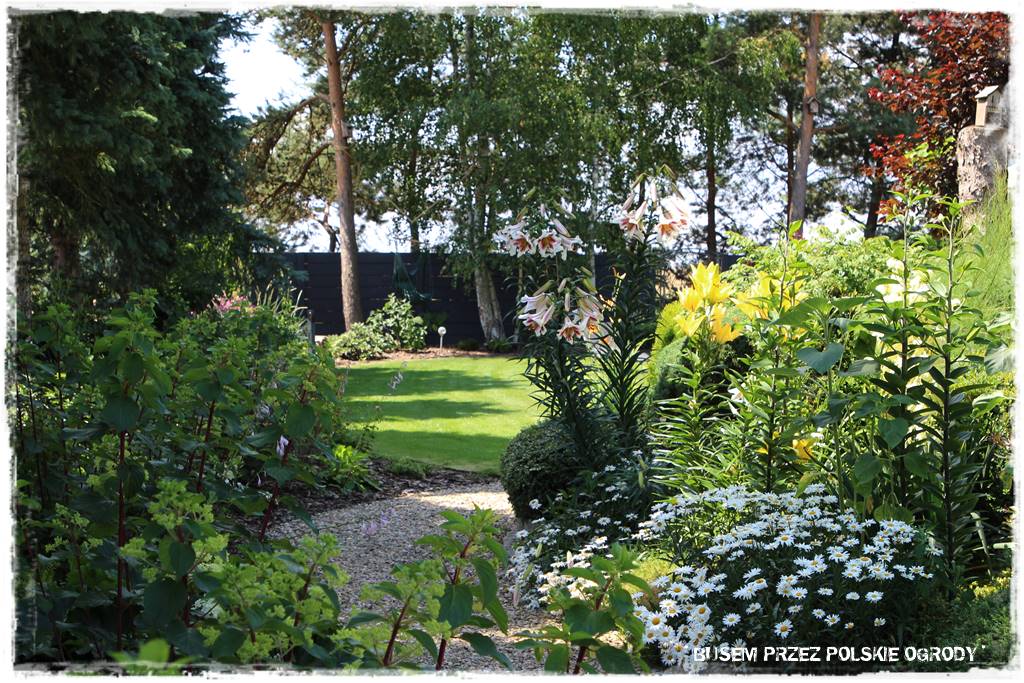 Wysoki taras aranżacje 43 Wysoki taras aranżacje 43