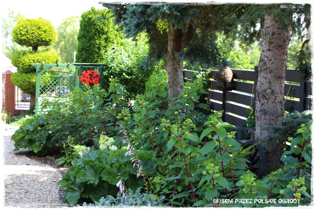 Wysoki taras aranżacje 45