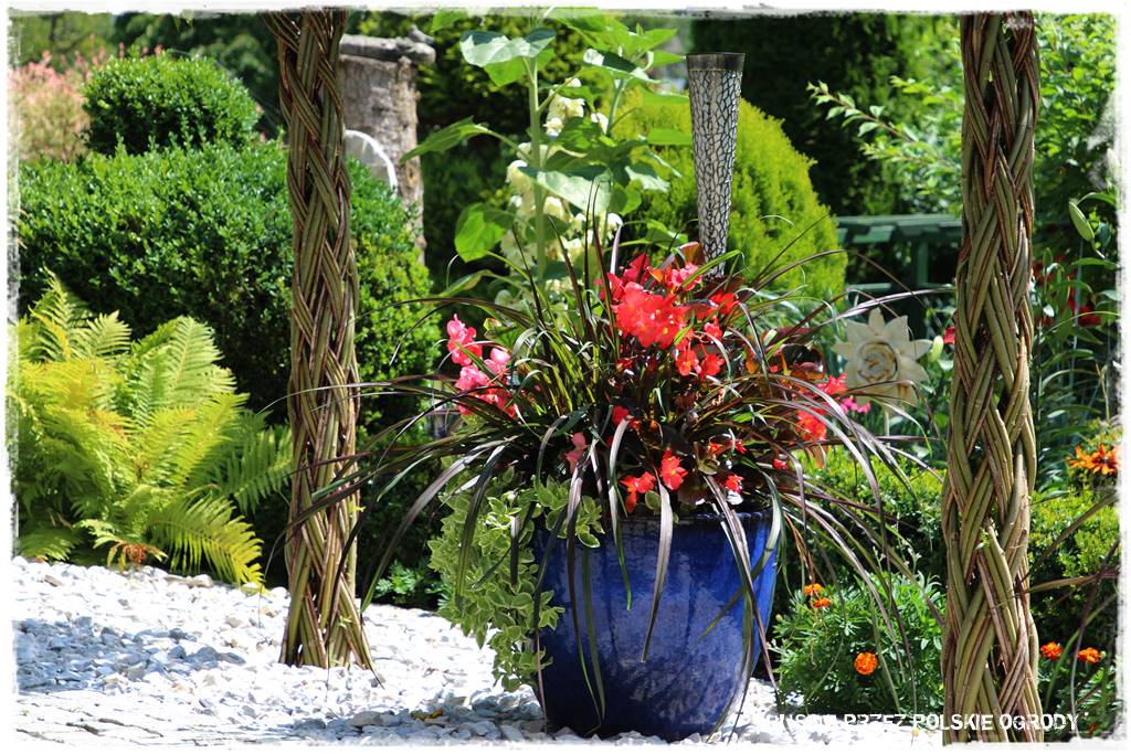 Wysoki taras aranżacje 46 Wysoki taras aranżacje 46