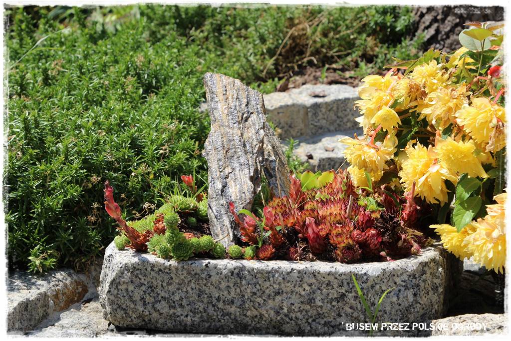 Wysoki taras aranżacje 47 Wysoki taras aranżacje 47