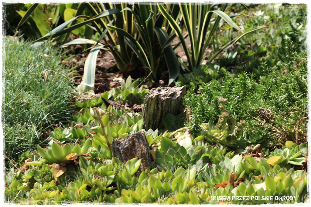 Wysoki taras aranżacje 52 Wysoki taras aranżacje 52