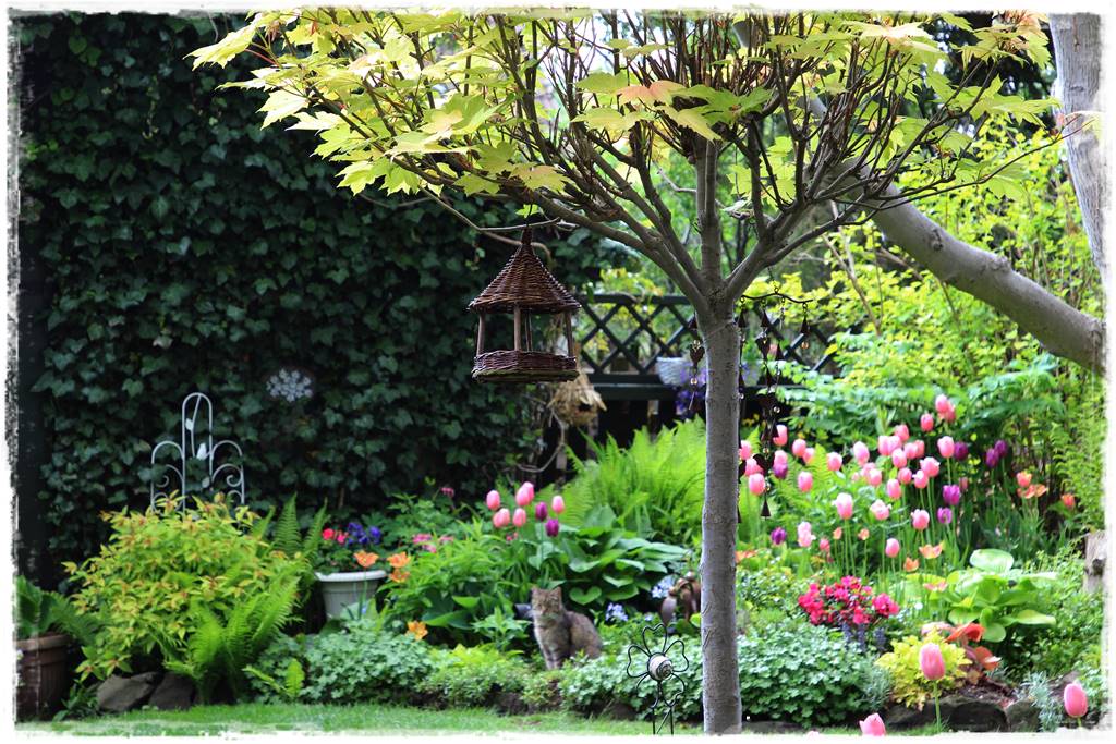 drzewa w ogrodzie aranżacje 10c drzewa w ogrodzie aranżacje 10c