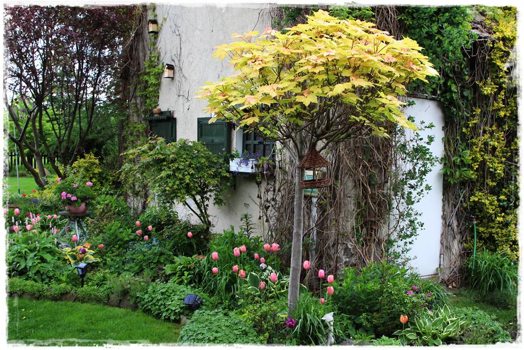 drzewa w ogrodzie aranżacje 10d drzewa w ogrodzie aranżacje 10d