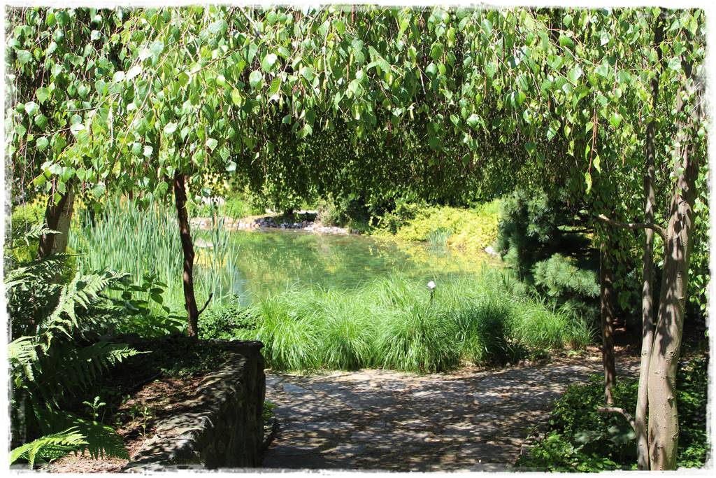 drzewa w ogrodzie aranżacje 1b drzewa w ogrodzie aranżacje 1b