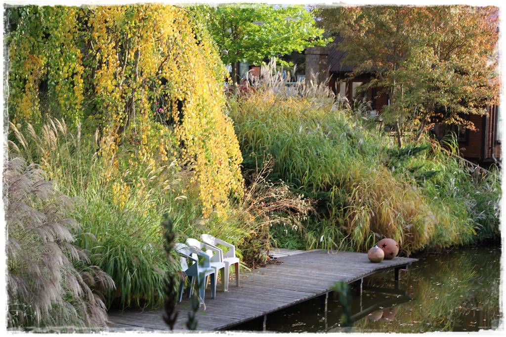 drzewa w ogrodzie aranżacje 1e drzewa w ogrodzie aranżacje 1e