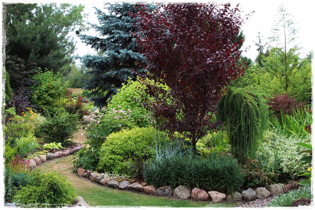 drzewa w ogrodzie aranżacje 2b drzewa w ogrodzie aranżacje 2b