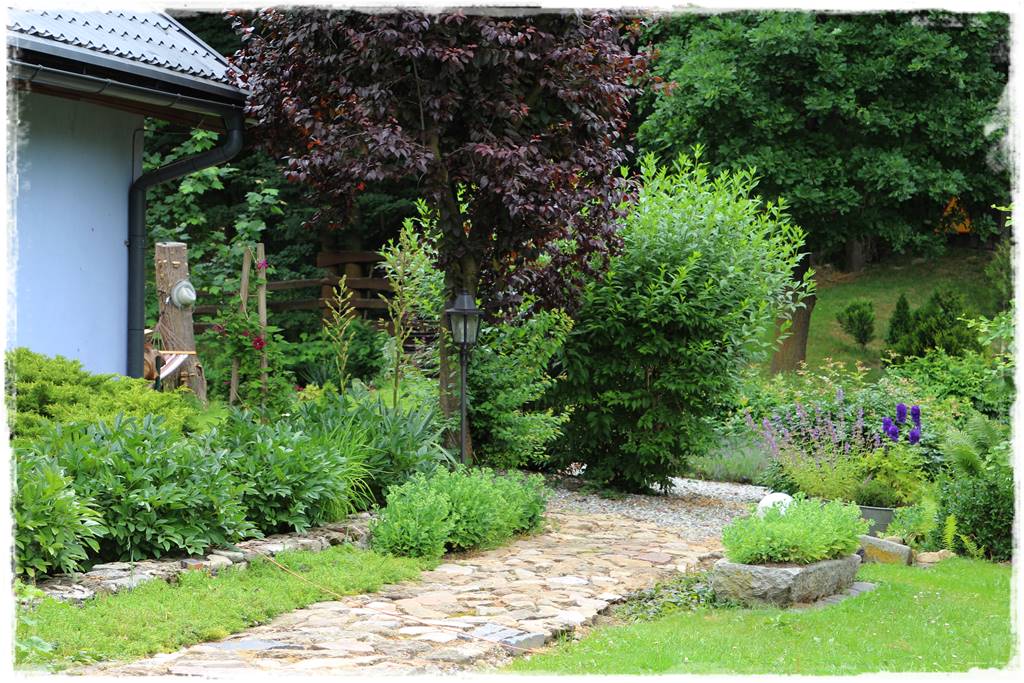 drzewa w ogrodzie aranżacje 2d drzewa w ogrodzie aranżacje 2d