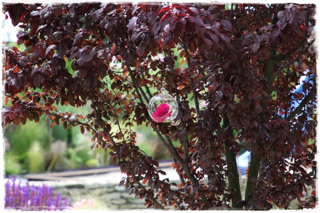 drzewa w ogrodzie aranżacje 2e drzewa w ogrodzie aranżacje 2e
