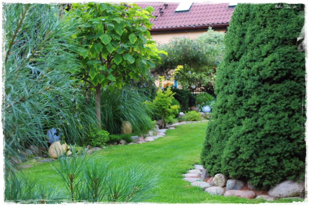 drzewa w ogrodzie aranżacje 3d drzewa w ogrodzie aranżacje 3d