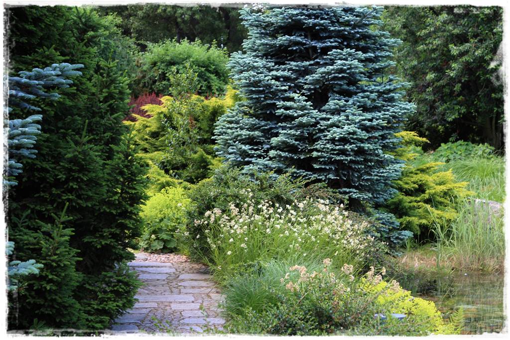 drzewa w ogrodzie aranżacje 4 drzewa w ogrodzie aranżacje 4