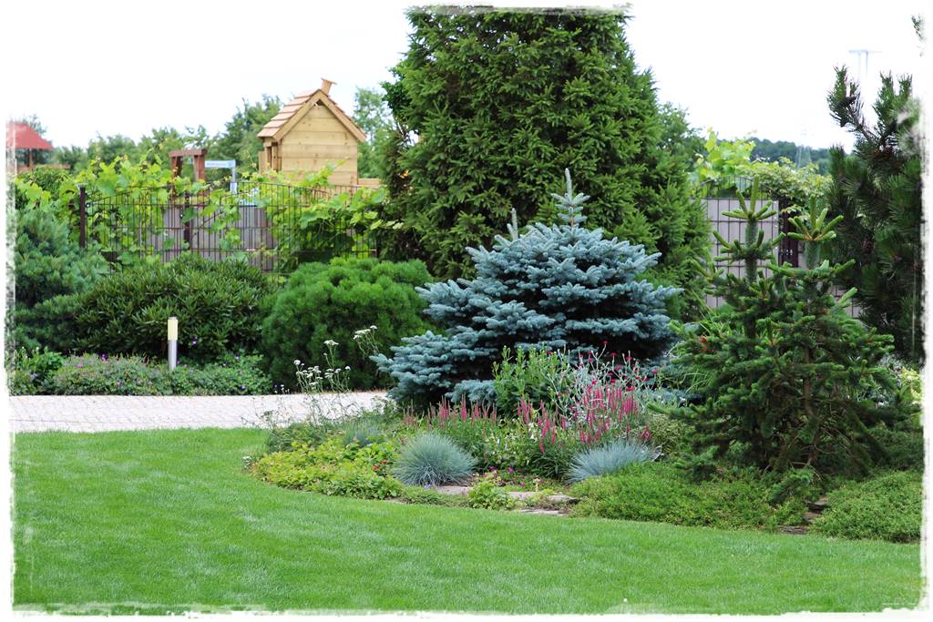 drzewa w ogrodzie aranżacje 4c drzewa w ogrodzie aranżacje 4c