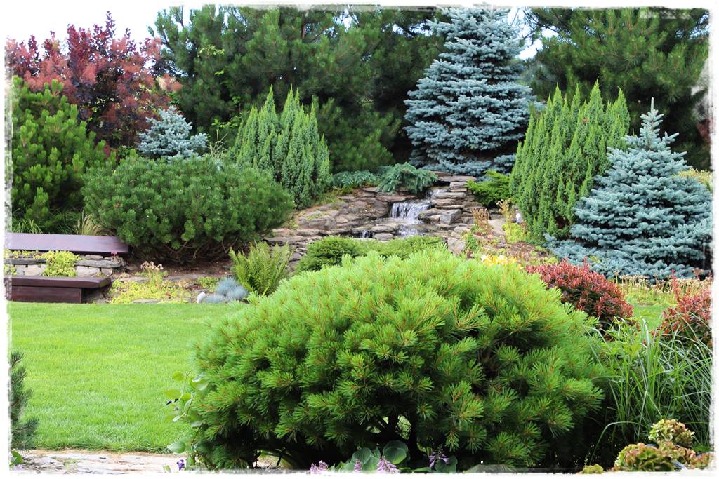 drzewa w ogrodzie aranżacje 4d drzewa w ogrodzie aranżacje 4d