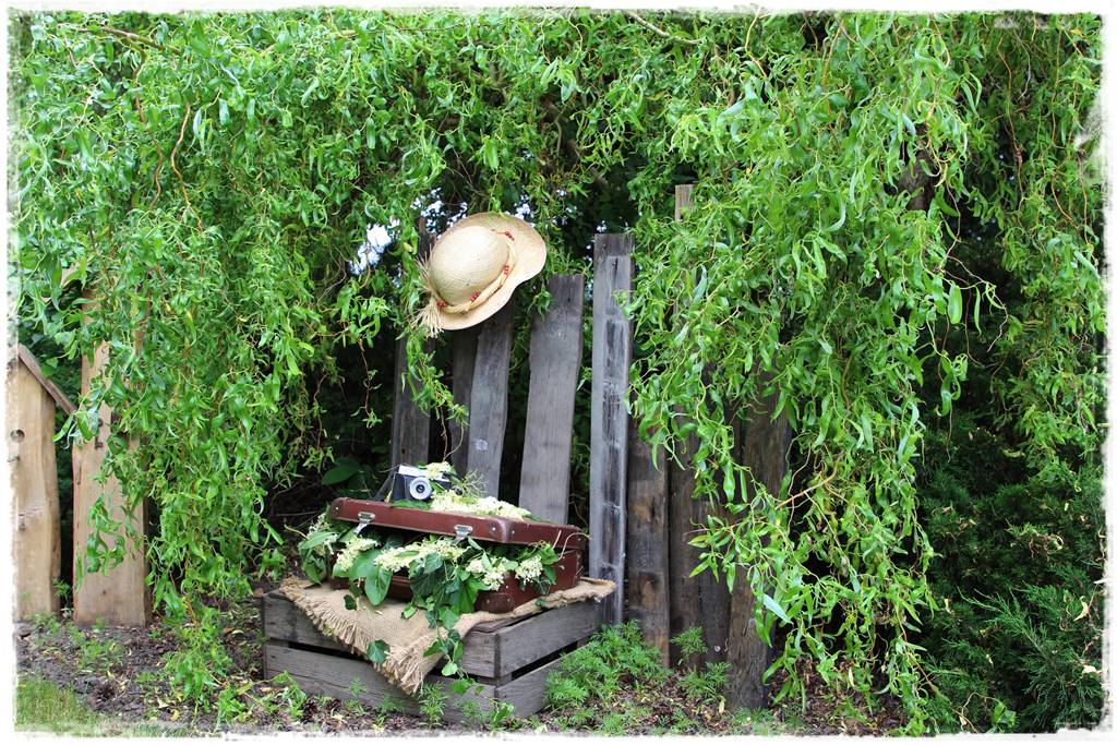 drzewa w ogrodzie aranżacje 5b drzewa w ogrodzie aranżacje 5b