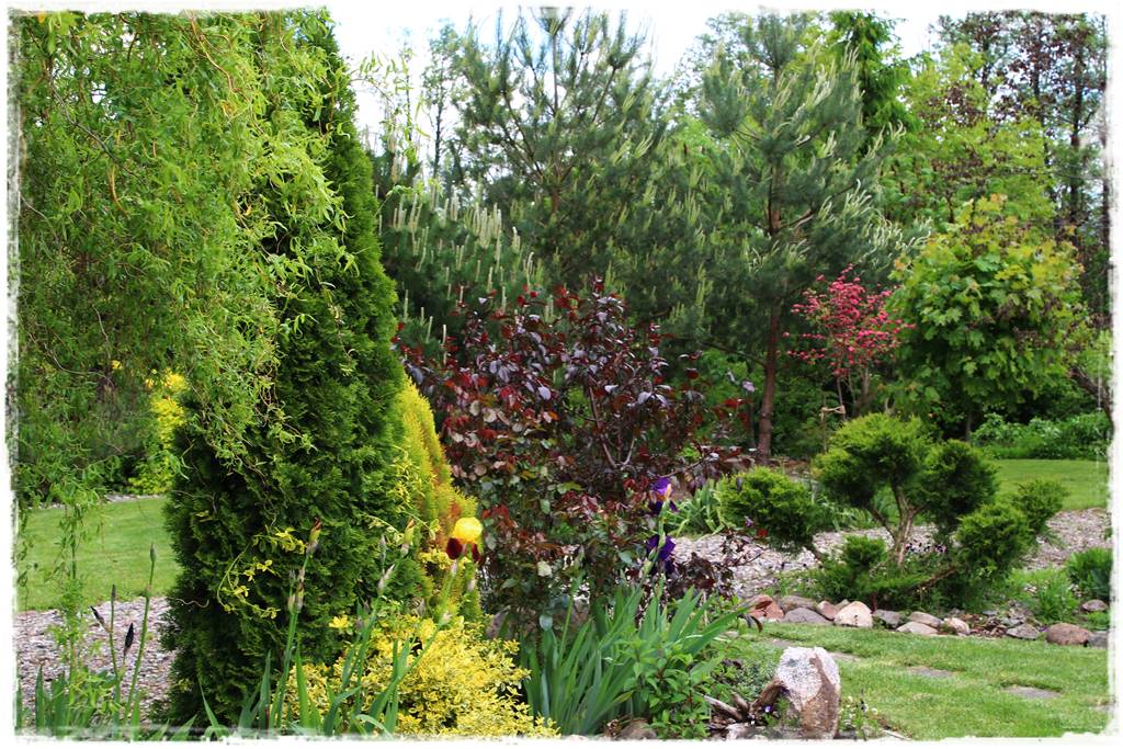 drzewa w ogrodzie aranżacje 5f drzewa w ogrodzie aranżacje 5f