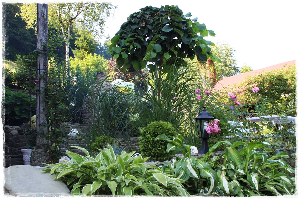 drzewa w ogrodzie aranżacje 6d drzewa w ogrodzie aranżacje 6d