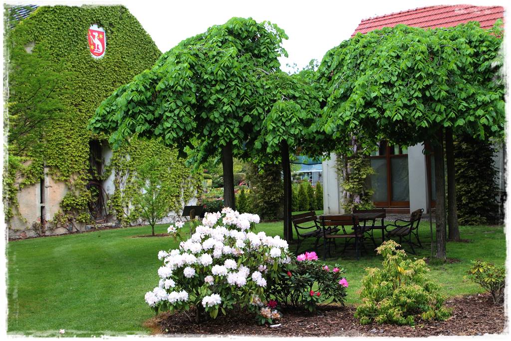 drzewa w ogrodzie aranżacje 6e drzewa w ogrodzie aranżacje 6e