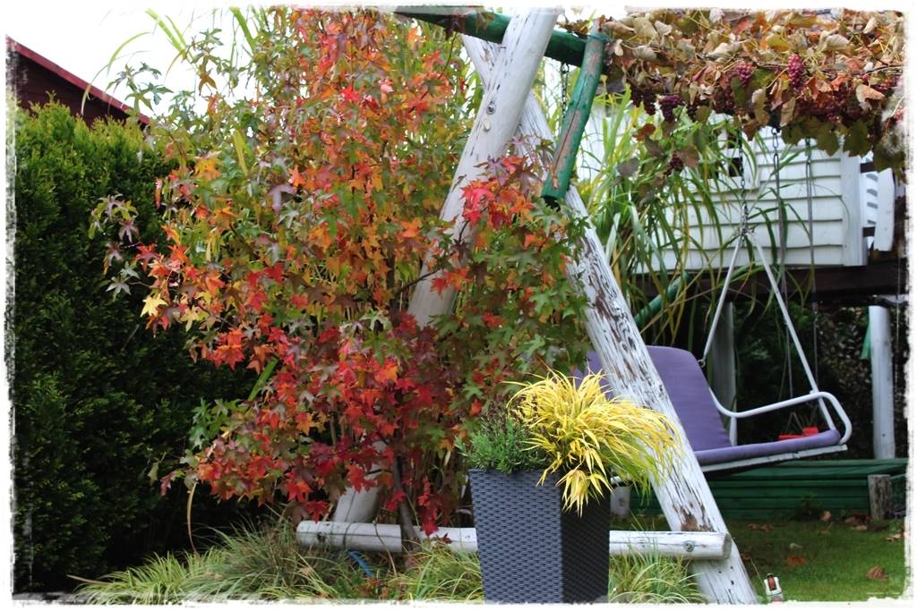 drzewa w ogrodzie aranżacje 7 drzewa w ogrodzie aranżacje 7