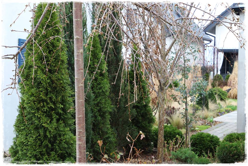 drzewa w ogrodzie aranżacje 8b drzewa w ogrodzie aranżacje 8b