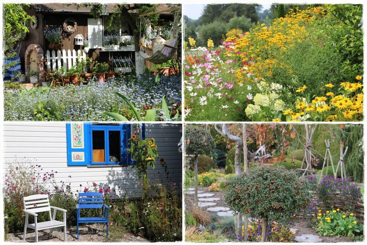 Babcine kwiaty w ogrodzie 0