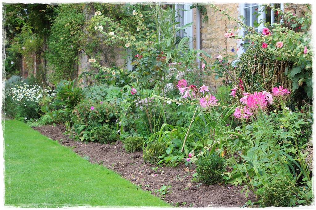 Babcine kwiaty w ogrodzie 1e Babcine kwiaty w ogrodzie 1e