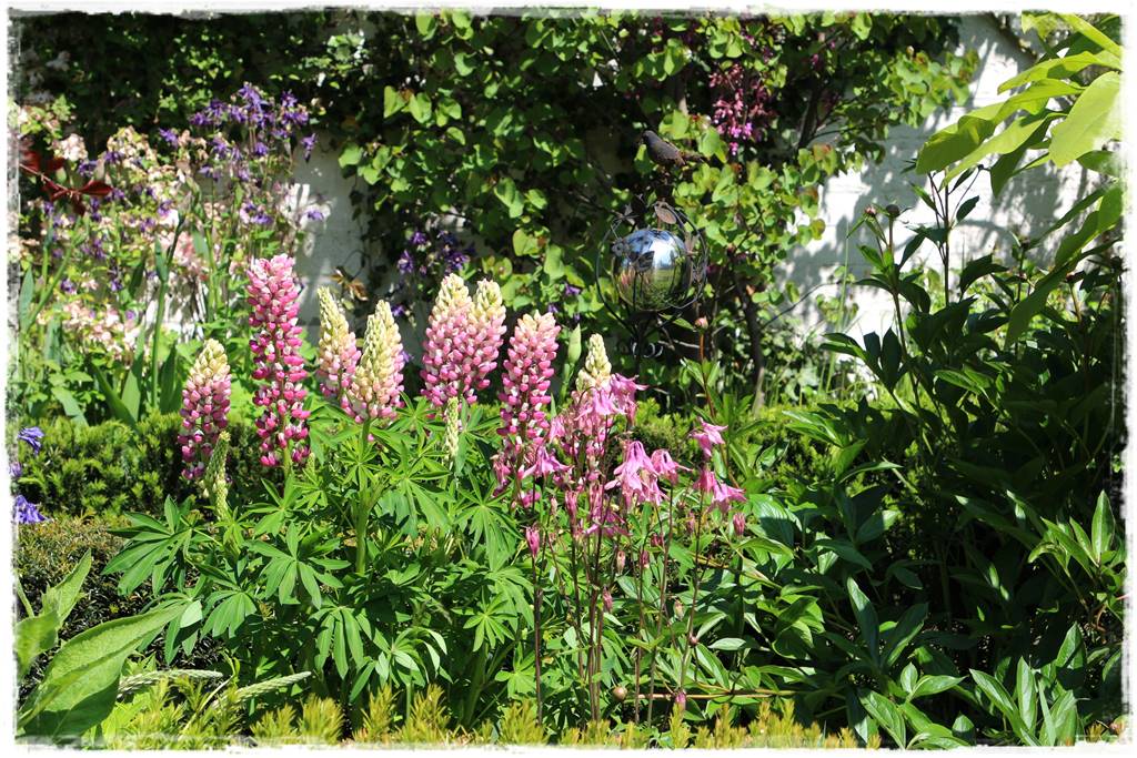 Babcine kwiaty w ogrodzie 2 Babcine kwiaty w ogrodzie 2