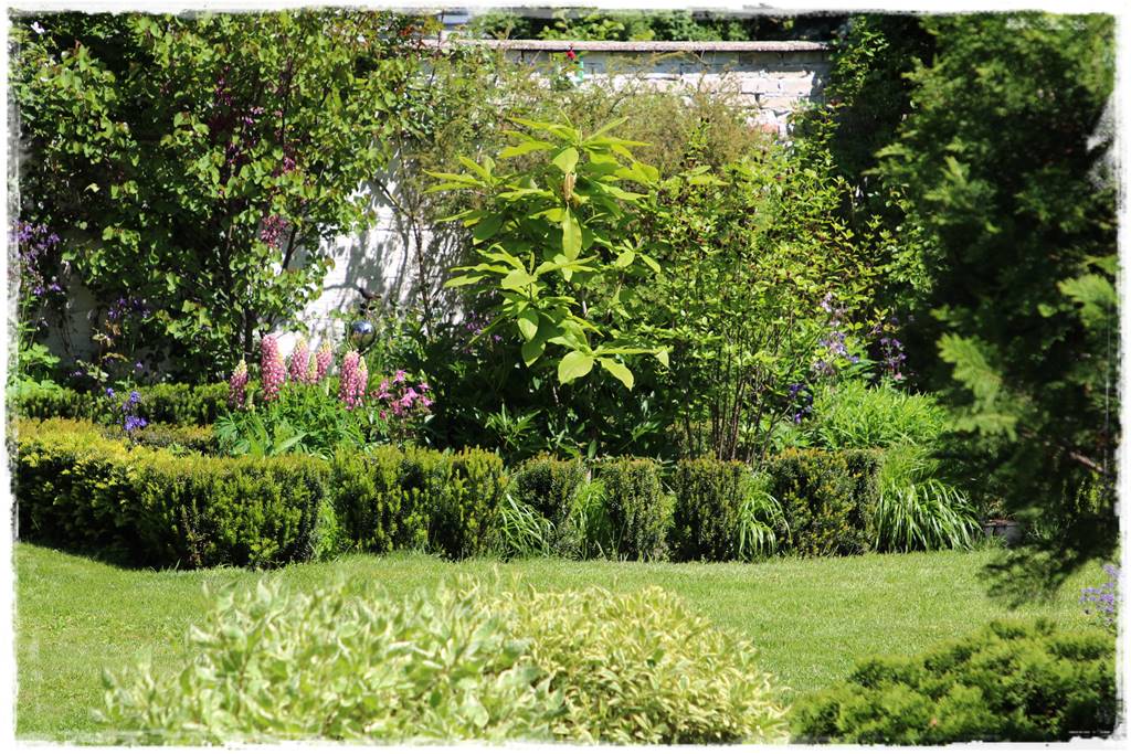 Babcine kwiaty w ogrodzie 2b Babcine kwiaty w ogrodzie 2b