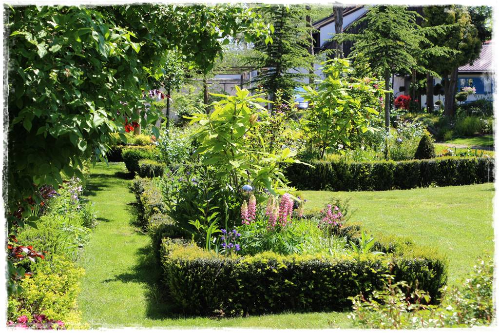 Babcine kwiaty w ogrodzie 2c Babcine kwiaty w ogrodzie 2c