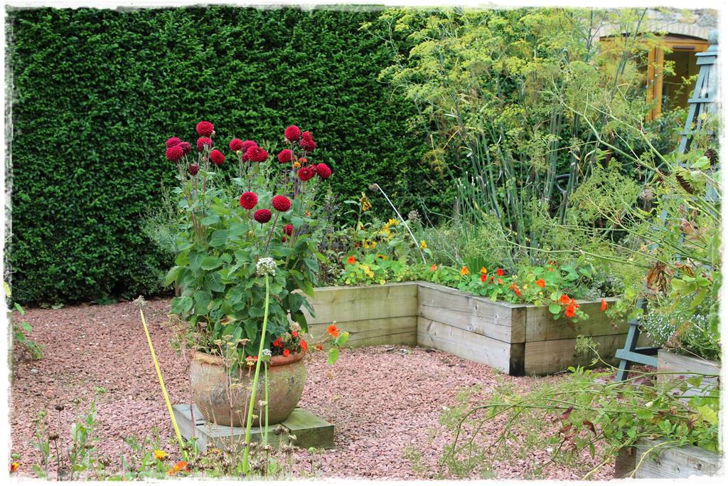 Babcine kwiaty w ogrodzie 6d Babcine kwiaty w ogrodzie 6d