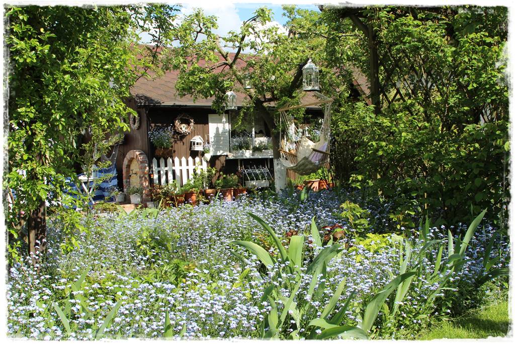 Babcine kwiaty w ogrodzie 7 Babcine kwiaty w ogrodzie 7