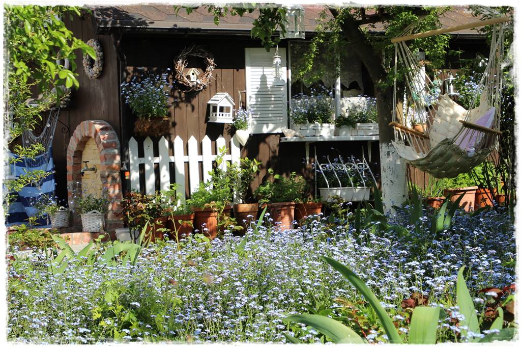 Babcine kwiaty w ogrodzie 7c Babcine kwiaty w ogrodzie 7c