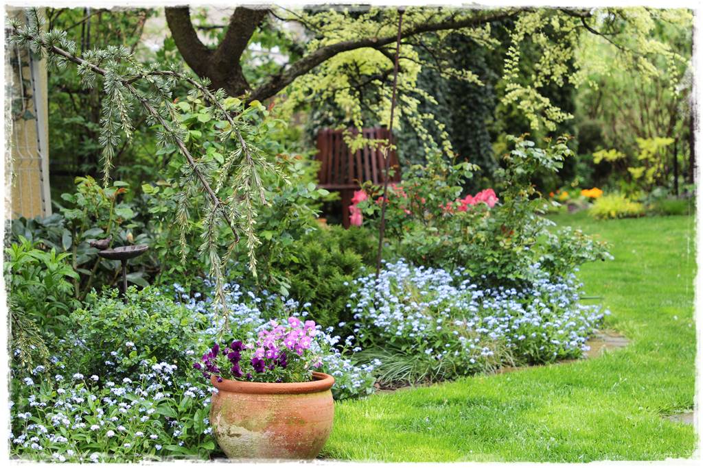 Babcine kwiaty w ogrodzie 7d Babcine kwiaty w ogrodzie 7d