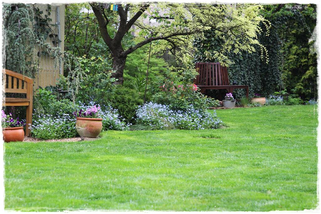 Babcine kwiaty w ogrodzie 7e Babcine kwiaty w ogrodzie 7e