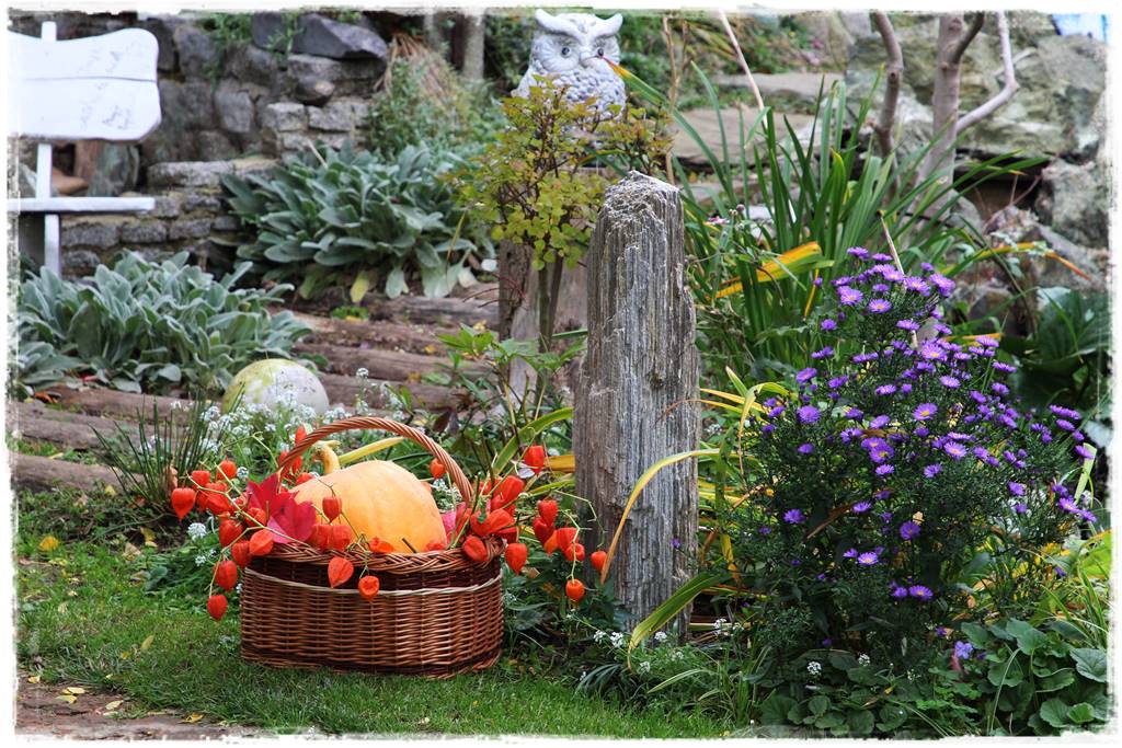 Babcine kwiaty w ogrodzie 8b Babcine kwiaty w ogrodzie 8b