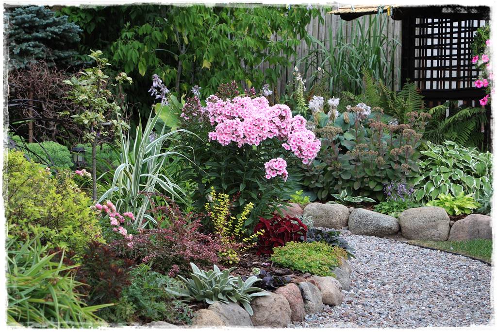 Babcine kwiaty w ogrodzie 9c Babcine kwiaty w ogrodzie 9c