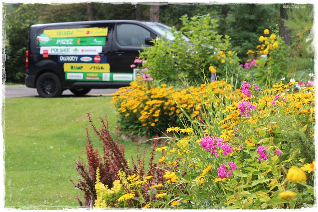 Babcine kwiaty w ogrodzie 9e Babcine kwiaty w ogrodzie 9e