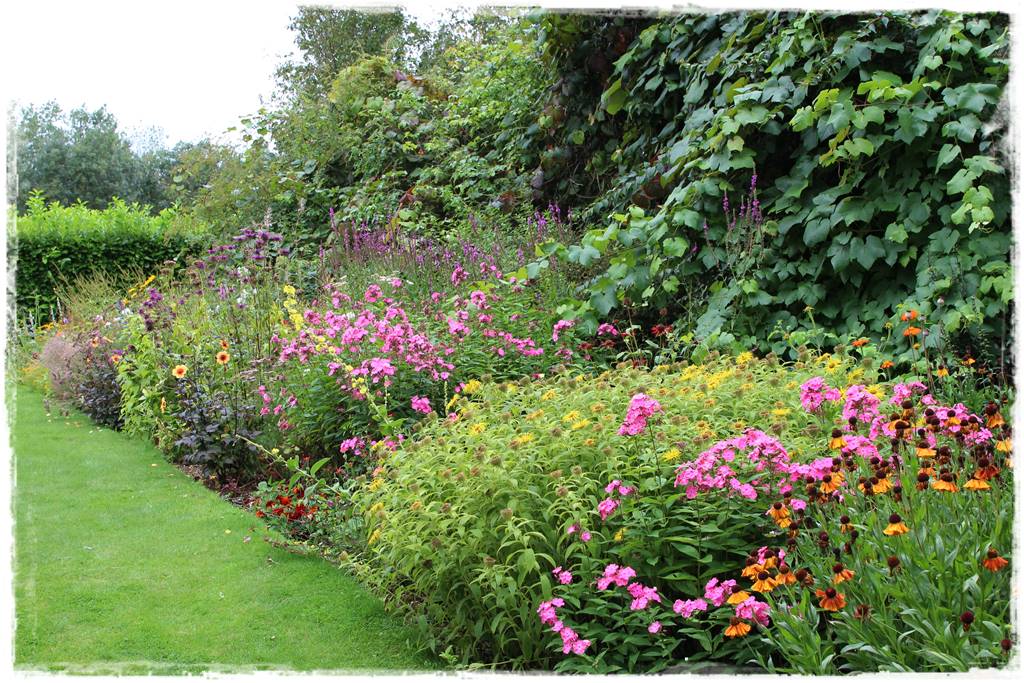 Babcine kwiaty w ogrodzie 9f Babcine kwiaty w ogrodzie 9f